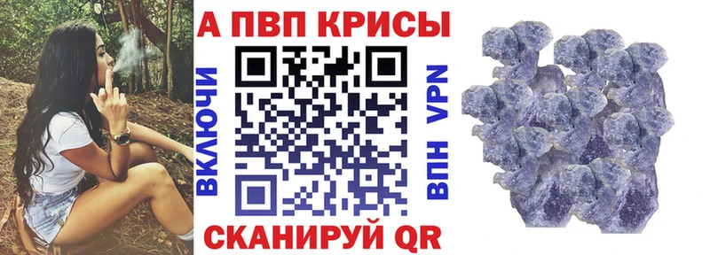 A-PVP СК  Урус-Мартан 