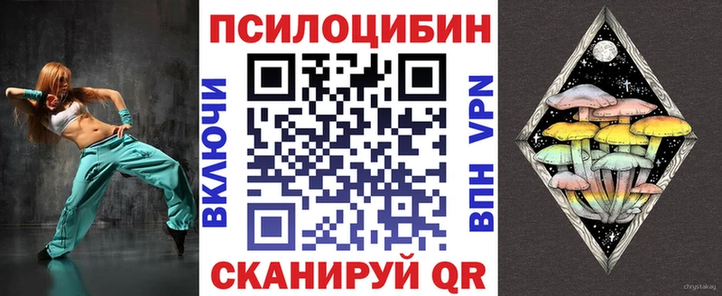 Псилоцибиновые грибы Psilocybine cubensis  Урус-Мартан 